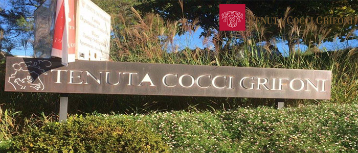 Tenuta Cocci Grifoni